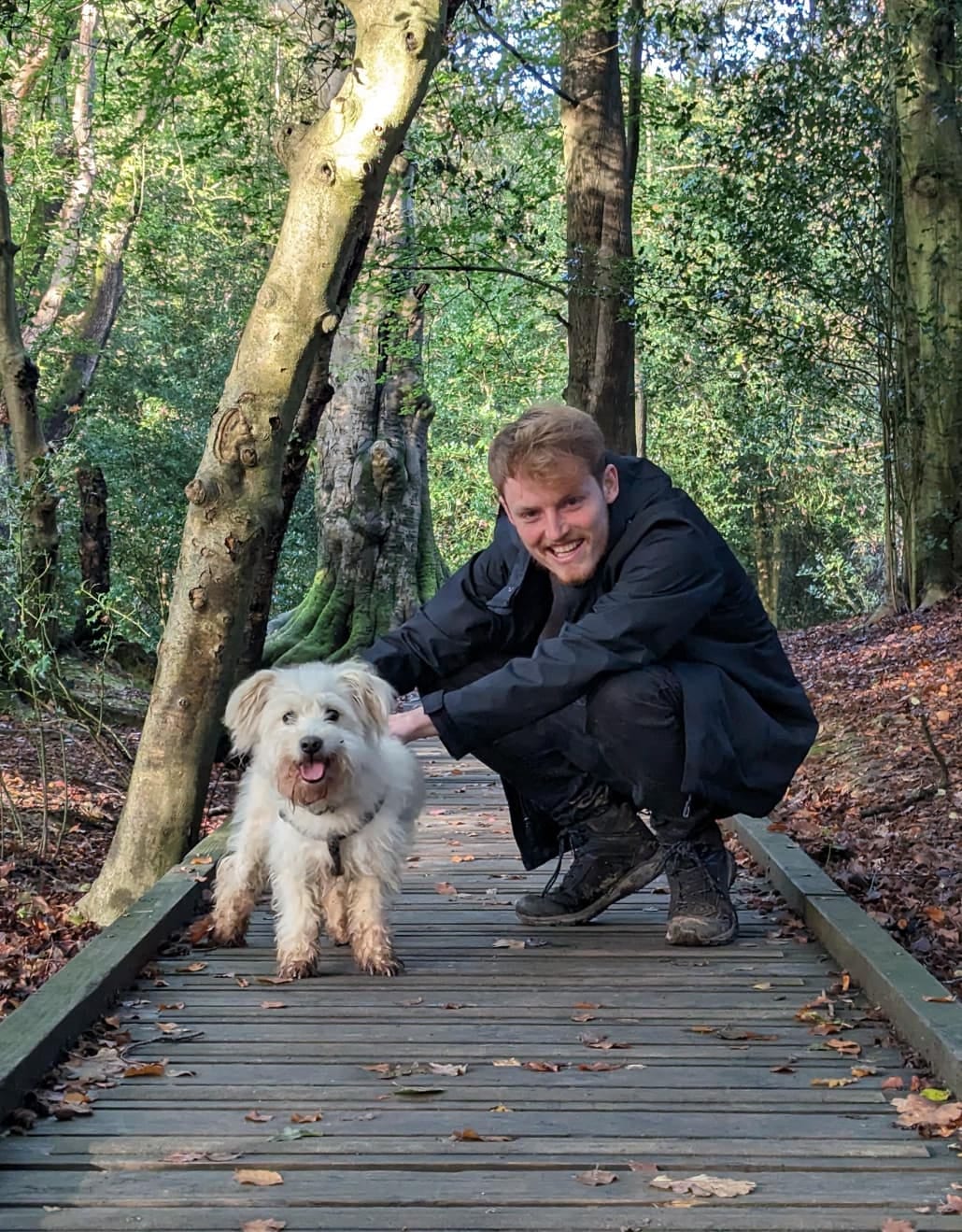 Aaron, Harrow-on-the-Hill pet sitter, crouching beside a happy white dog on a woodland boardwalk