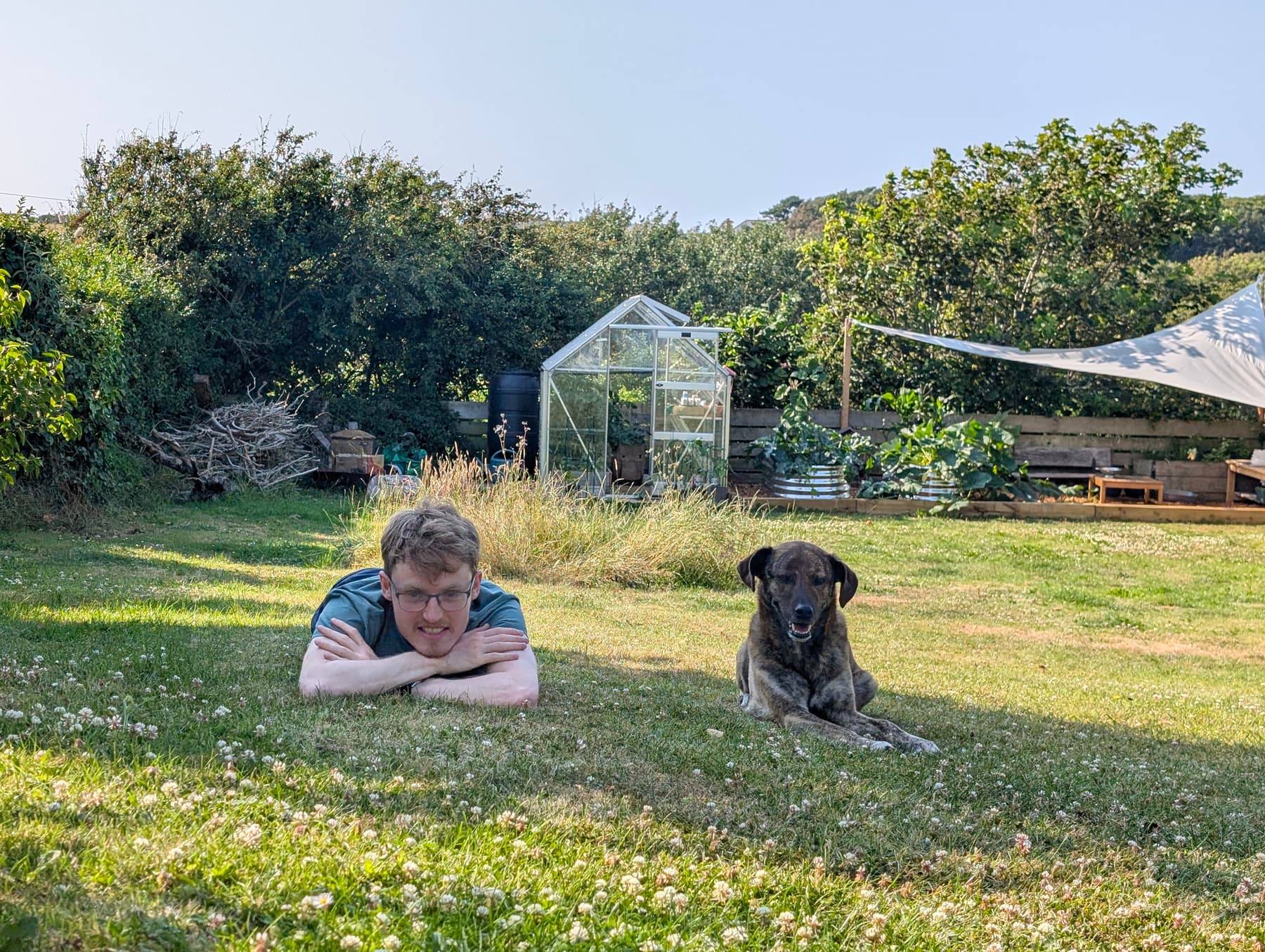 Aaron the Harrow dog walker relaxing in a sunny garden with a happy dog